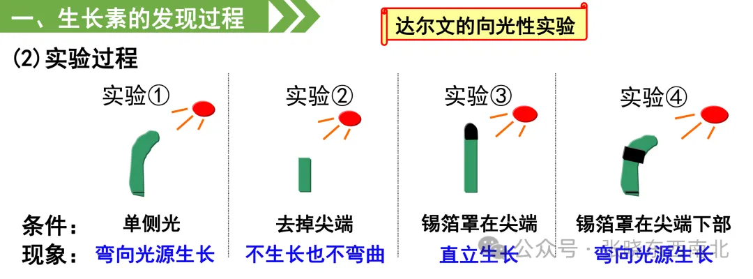 1efea0a56c695654bdd7909819579d86.png